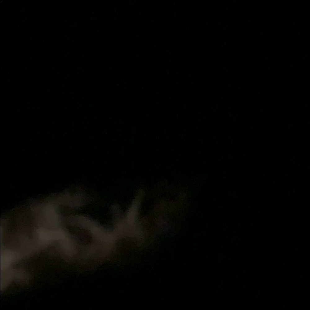 Meet your Posher, Norah